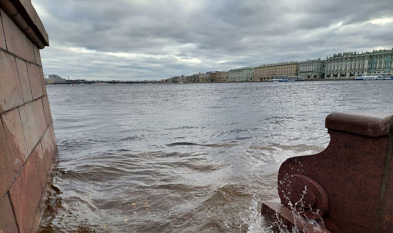 Холодно и ветрено сегодня в Петербурге Холодно и ветрено сегодня в Петербурге