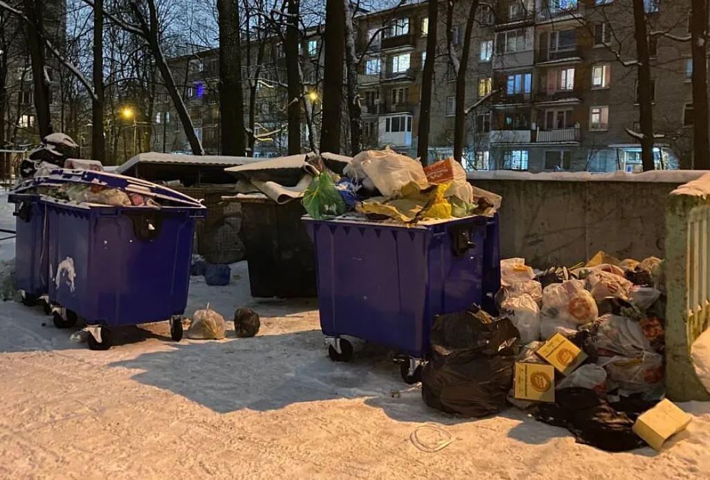 Петербуржцы опасаются появления вредителей в городе из-за выросших «мусорных гор»