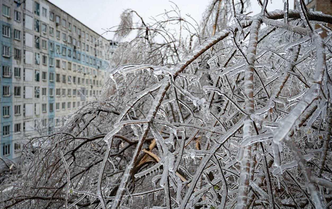 Смольный проигнорировал жалобы петербуржцев на уборку снега