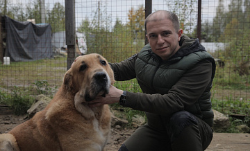 Михаил Романов намерен сделать приюты для бездомных животных цивилизованными