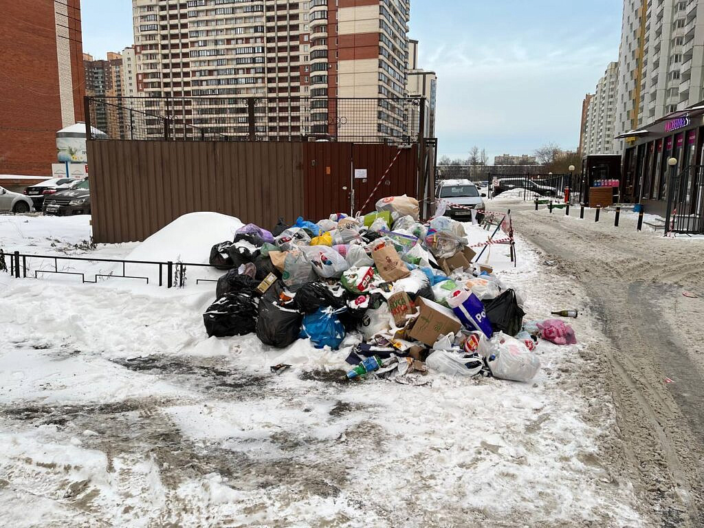 Санкт-Петербург: проблемы утилизации мусора