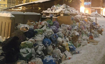 Огромные кучи мусора в жилых дворах Санкт-Петербурга спровоцировали нашествие крыс
